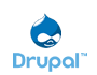Drupal website hosting